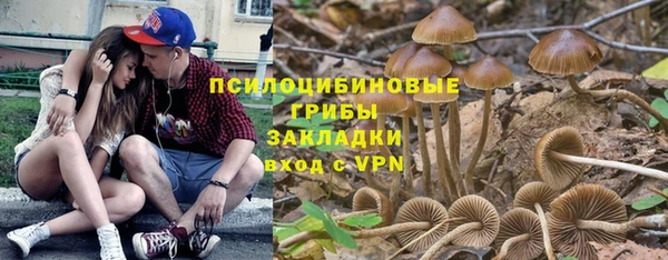 трава Богданович