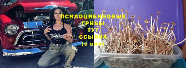 амфетамин Богородск