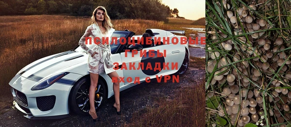 скорость Богородицк